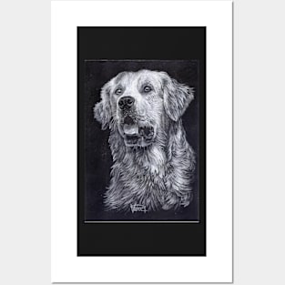 Golden Retriever Posters and Art